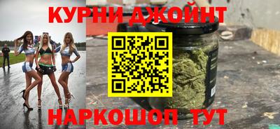 сатива Коммунар