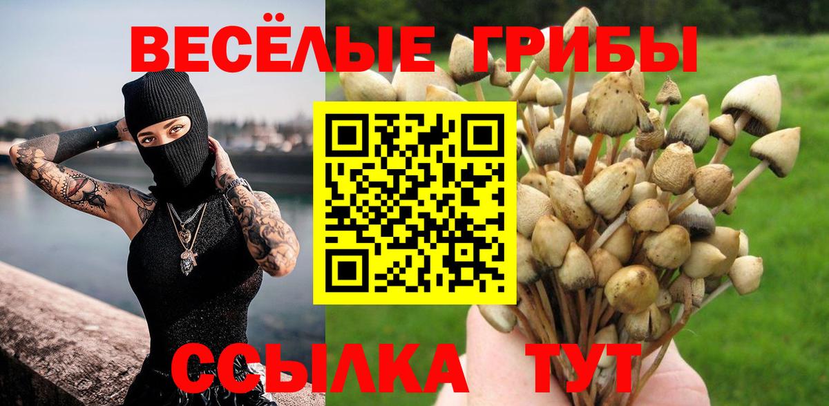 Псилоцибиновые грибы Magic Shrooms  Галлюциногенные грибы прущие грибы  Вход с VPN  Тавда 